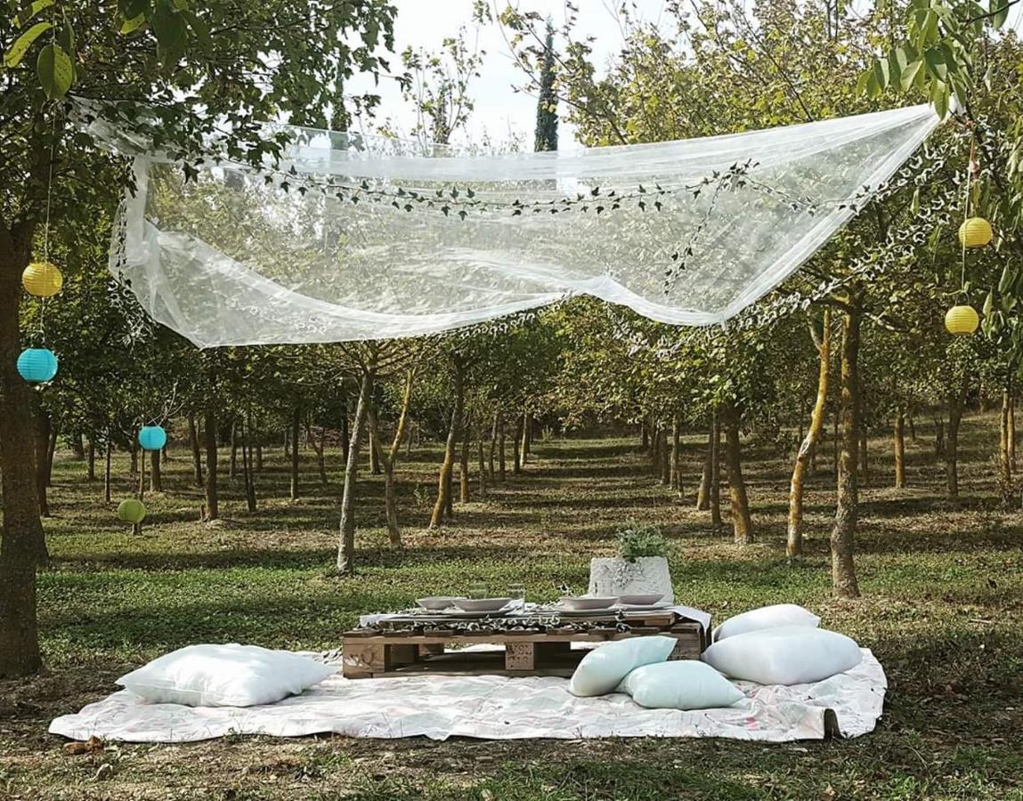 La Casa Di Arianna Bed and Breakfast Casole dʼElsa Εξωτερικό φωτογραφία